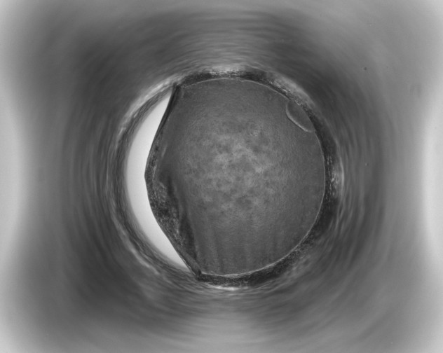 X0000084560732200703161704