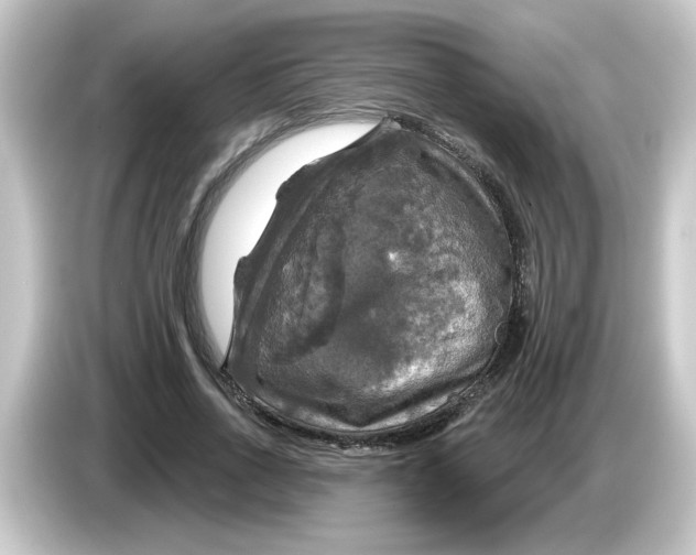 X0000084560734200703161704