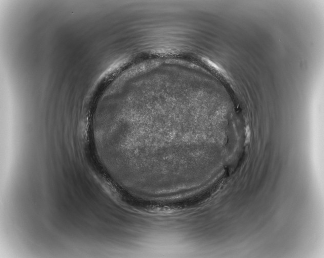 X0000084560735200703161704