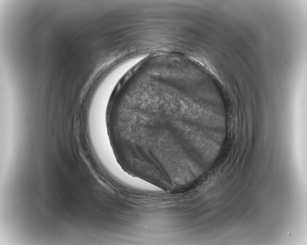 X0000084560736200703161704