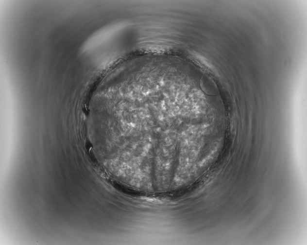 X0000084560737200703161704