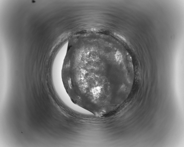 X0000084560738200703161704