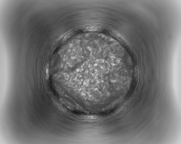 X0000084560741200703161704