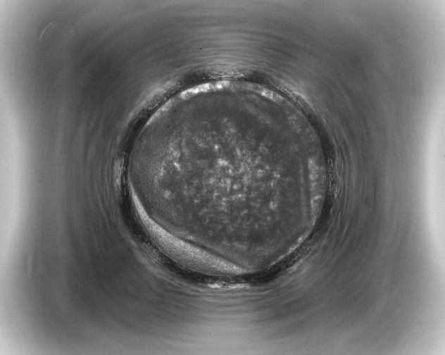 X0000084560742200703161704