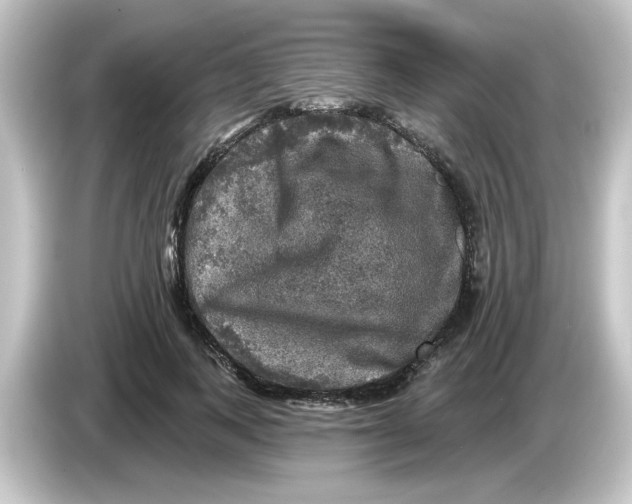 X0000084560743200703161704