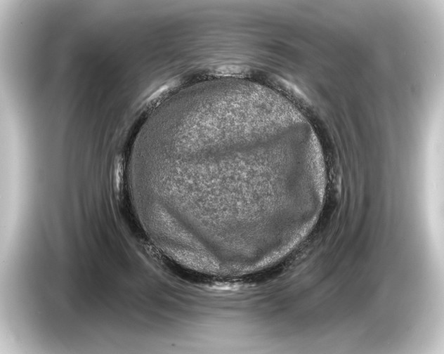 X0000084560744200703161704