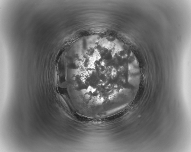 X0000084560745200703161704