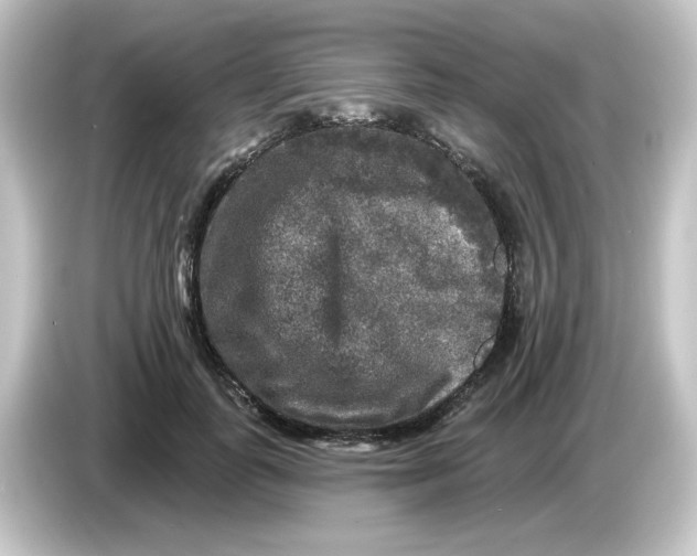 X0000084560747200703161704