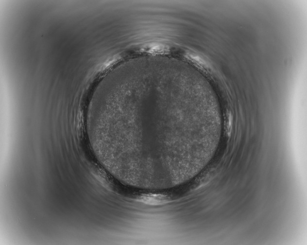 X0000084560748200703161704