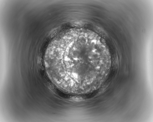 X0000084560749200703161704