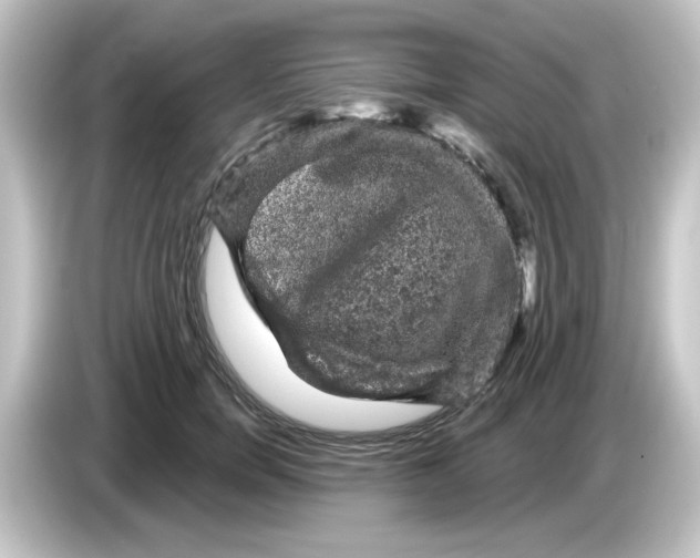 X0000084560750200703161704