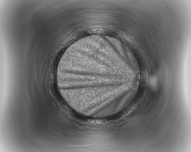 X0000084560751200703161704