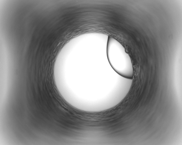 X0000084560752200703161704