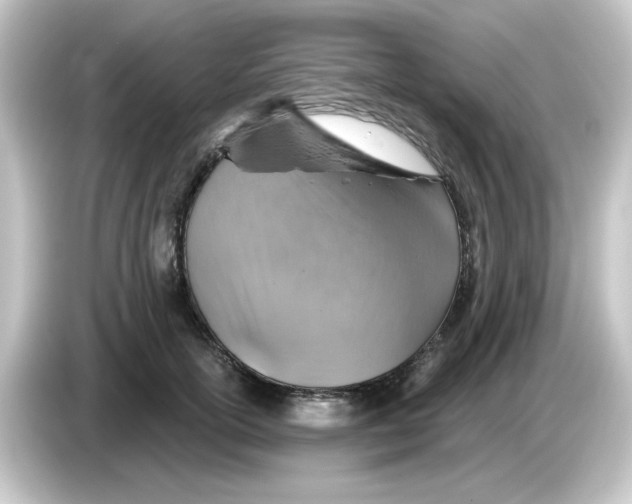 X0000084560754200703161704