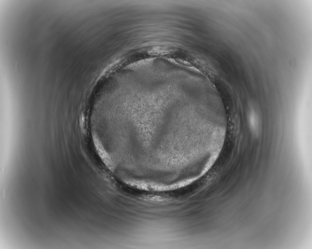 X0000084560755200703161704