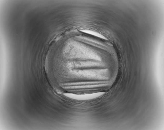 X0000084560756200703161704