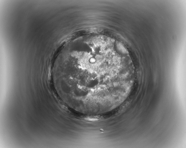 X0000084560757200703161704