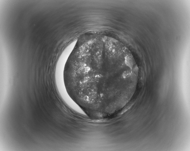 X0000084560758200703161704