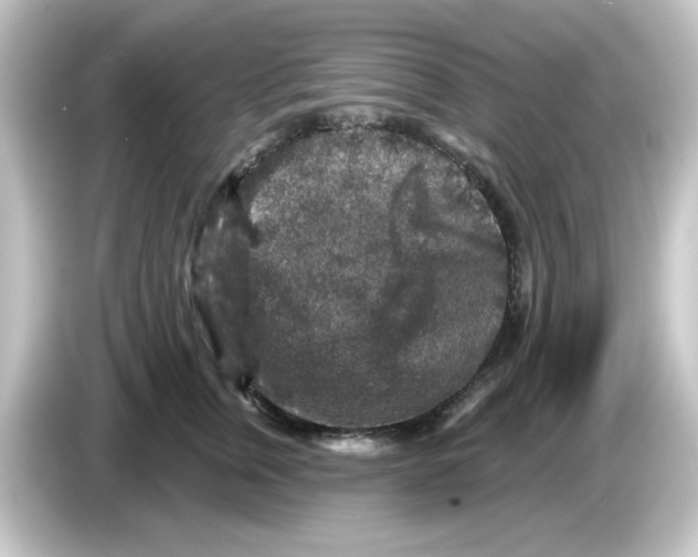 X0000084560759200703161704