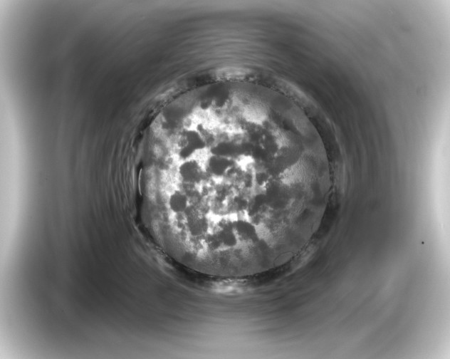 X0000084560761200703161704