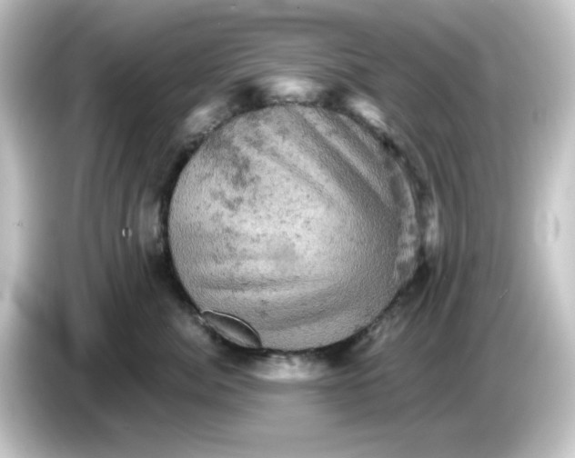 X0000084560764200703161704