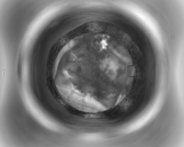 X0000084560765200703161704