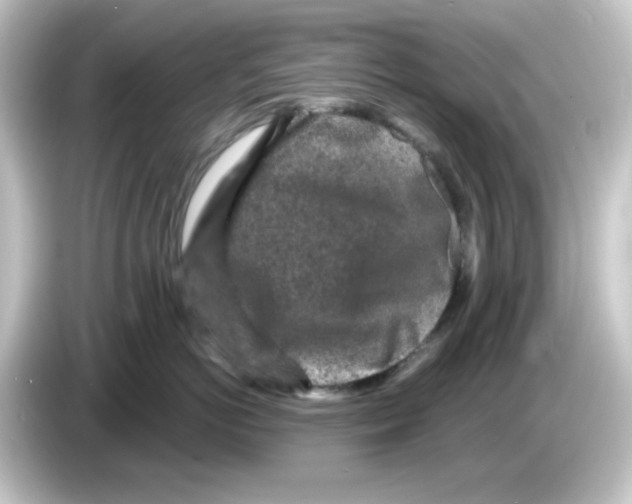 X0000084560766200703161704