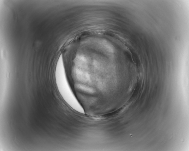 X0000084560767200703161704