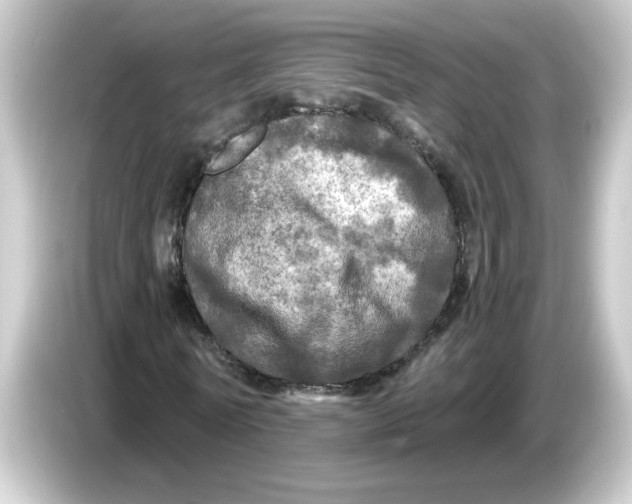 X0000084560770200703161704