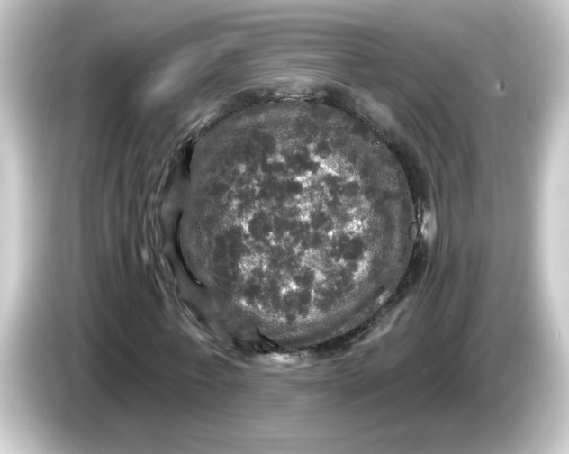 X0000084560771200703161704