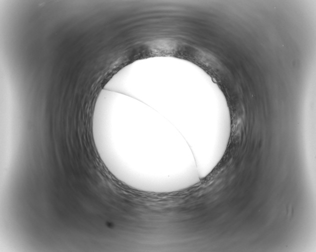 X0000084560772200703161703