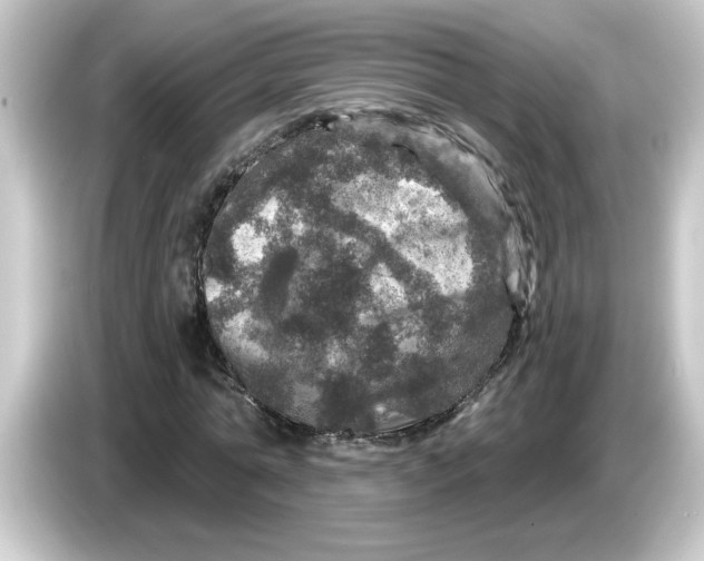 X0000084560774200703161703