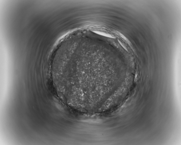 X0000084560775200703161703