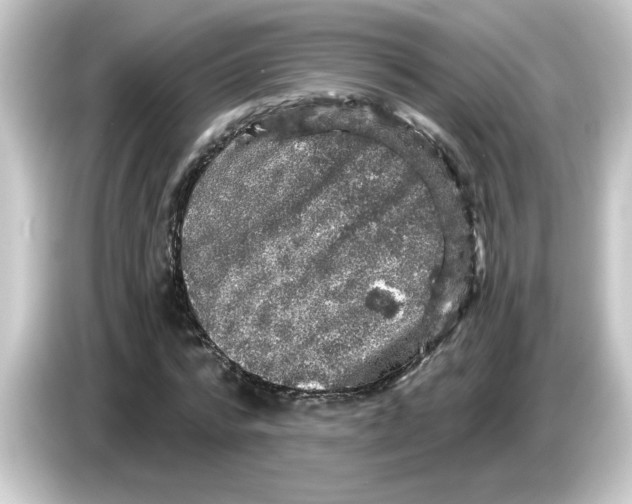 X0000084560776200703161703