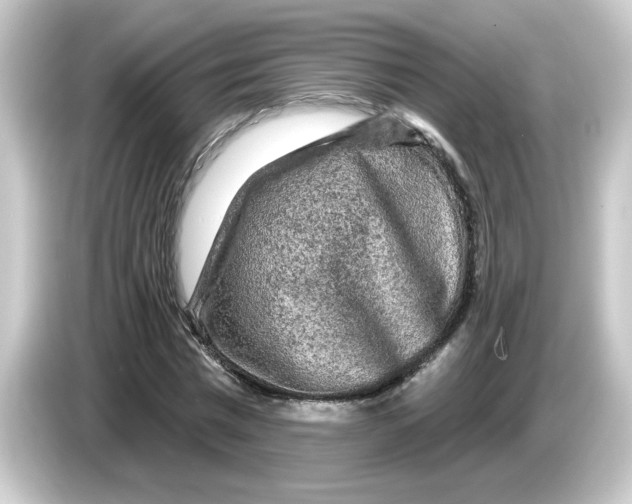 X0000084560777200703161703