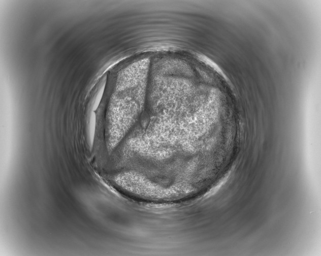 X0000084560778200703161703