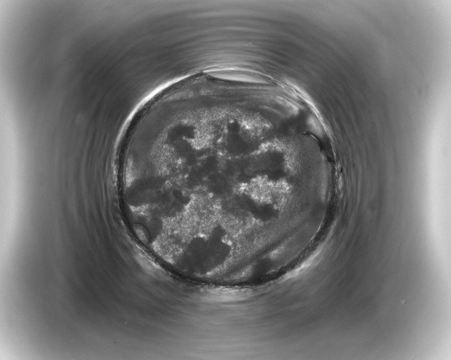 X0000084560779200703161703