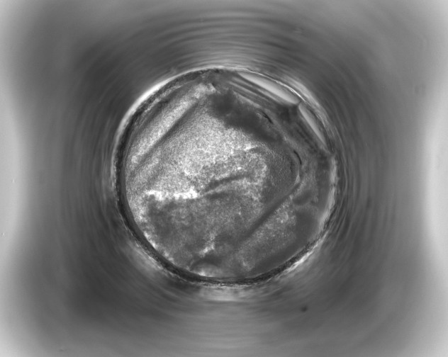 X0000084560780200703161703