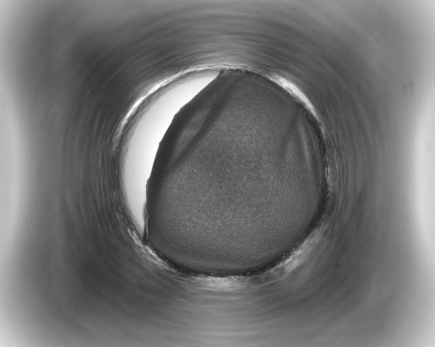 X0000084560781200703161703