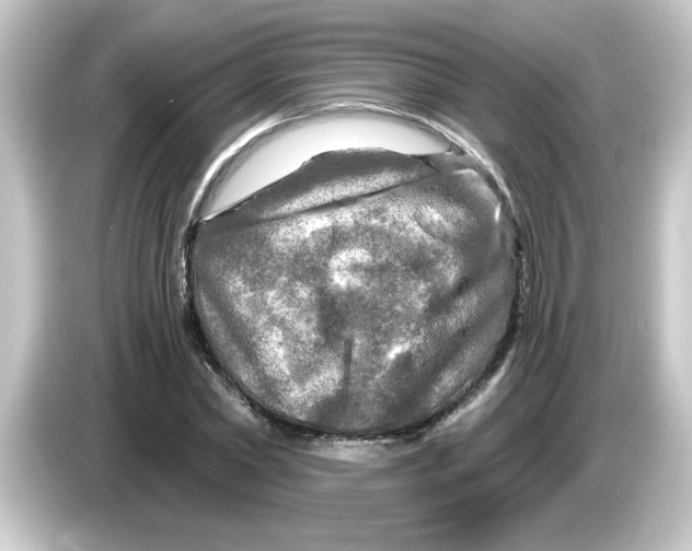 X0000084560782200703161703