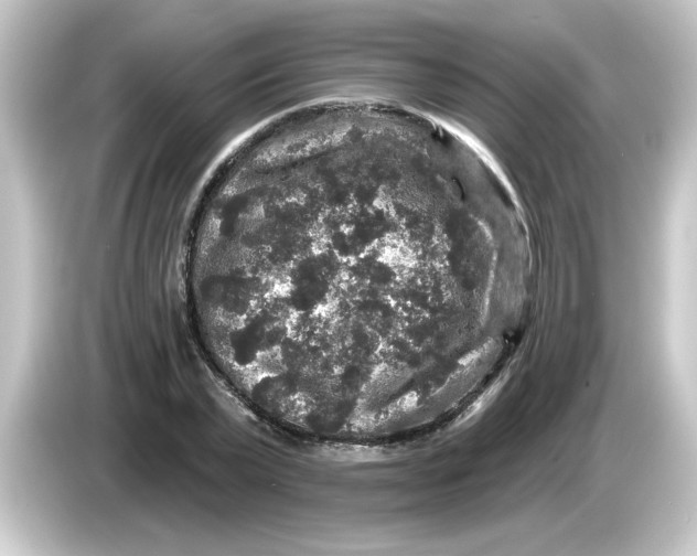 X0000084560783200703161703