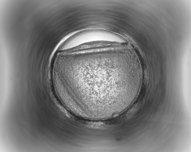 X0000084560784200703161703