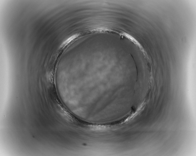 X0000084560785200703161703