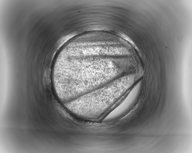 X0000084560786200703161703