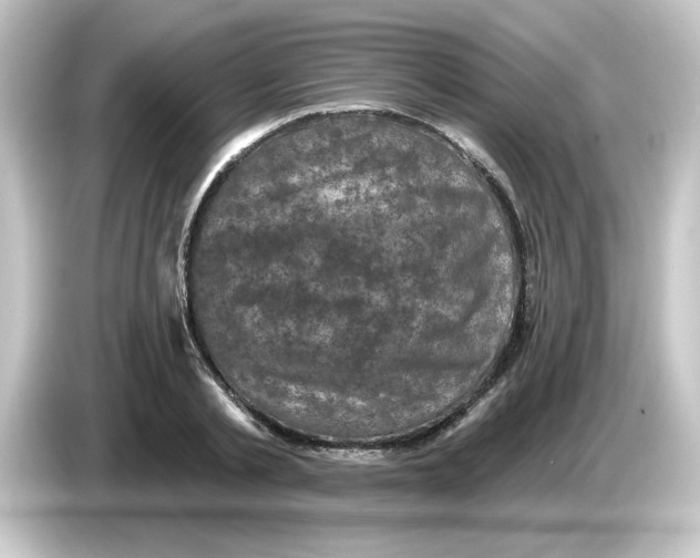 X0000084560789200703161703