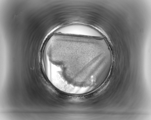 X0000084560790200703161703