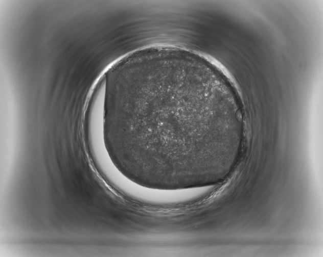 X0000084560791200703161703