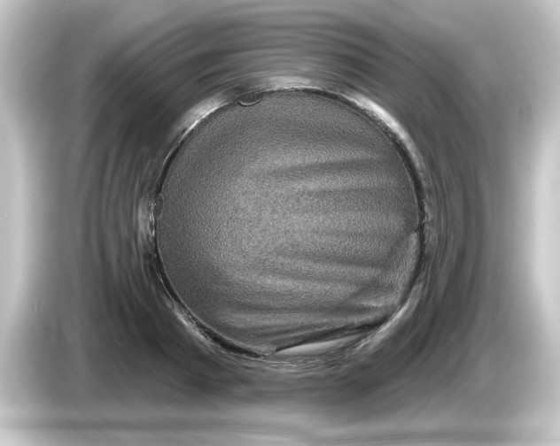 X0000084560793200703161703