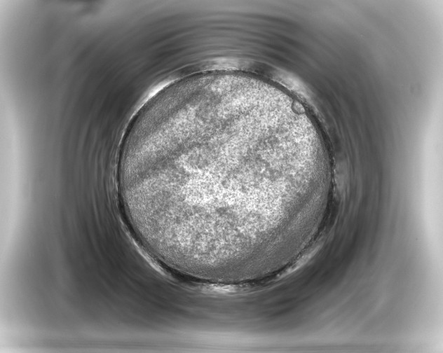 X0000084560794200703161703