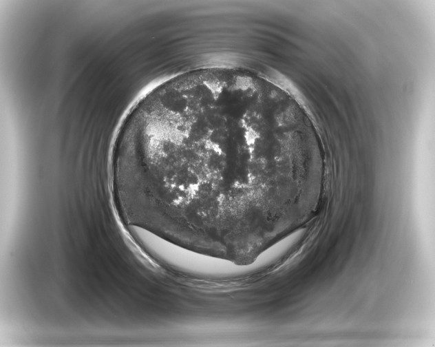 X0000084560795200703161703